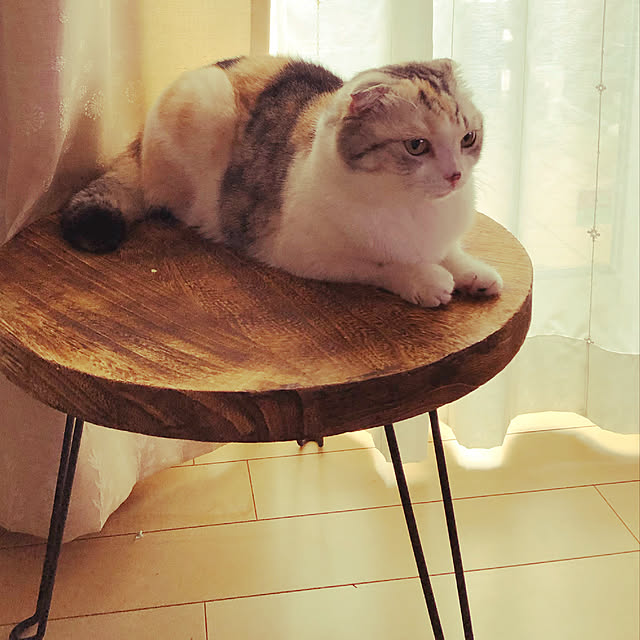 yokkochanさんの実例写真