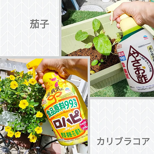 YUKKIさんの実例写真