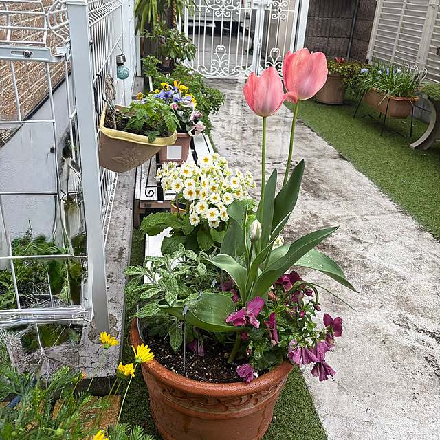 puriyuzuさんの部屋