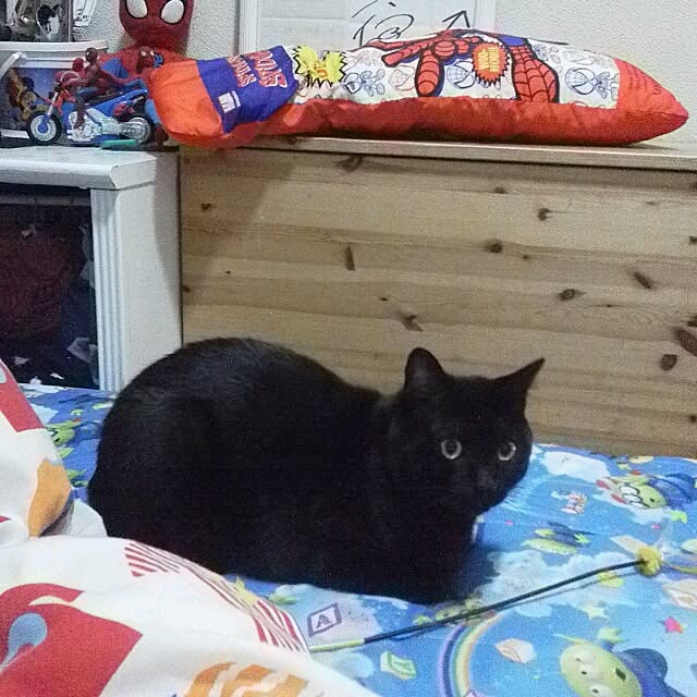 mikiさんの実例写真
