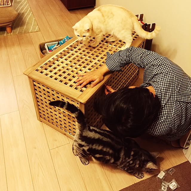 y.k.0123さんの実例写真