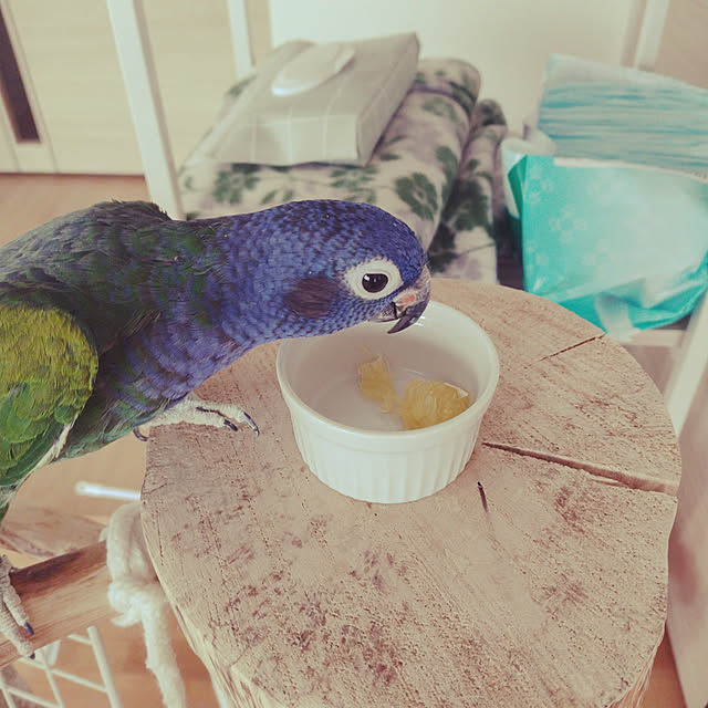 bonoさんの実例写真