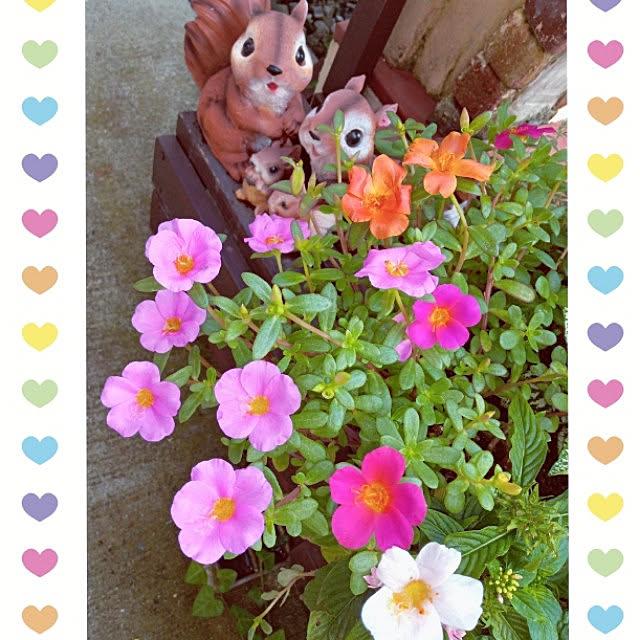 mocomocoさんの実例写真
