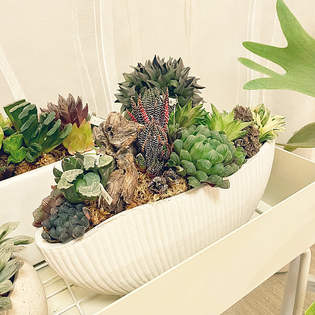 nanakoさんの実例写真