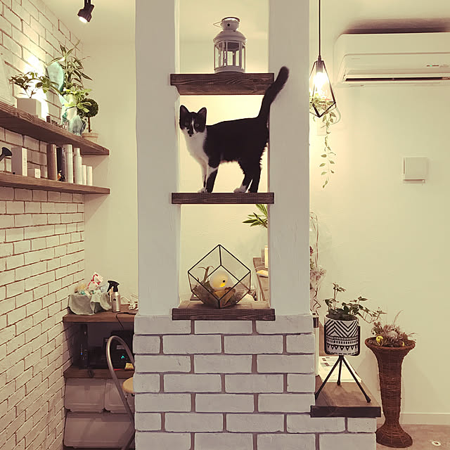 ever0723さんの実例写真