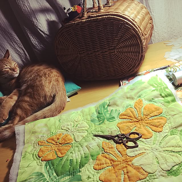Miさんの実例写真