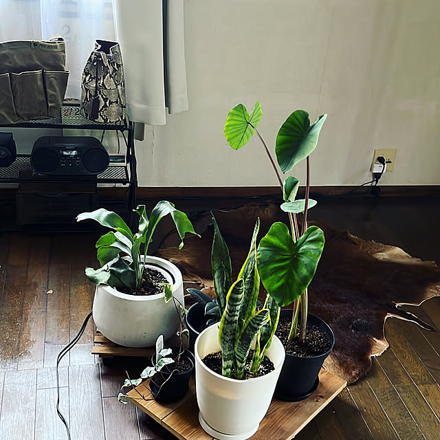monoさんの実例写真