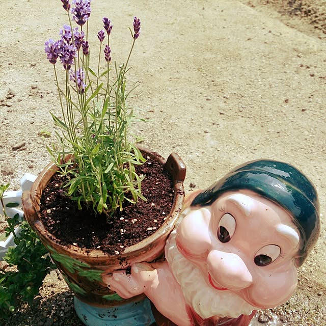 miiiiさんの実例写真