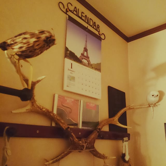 hiroさんの実例写真