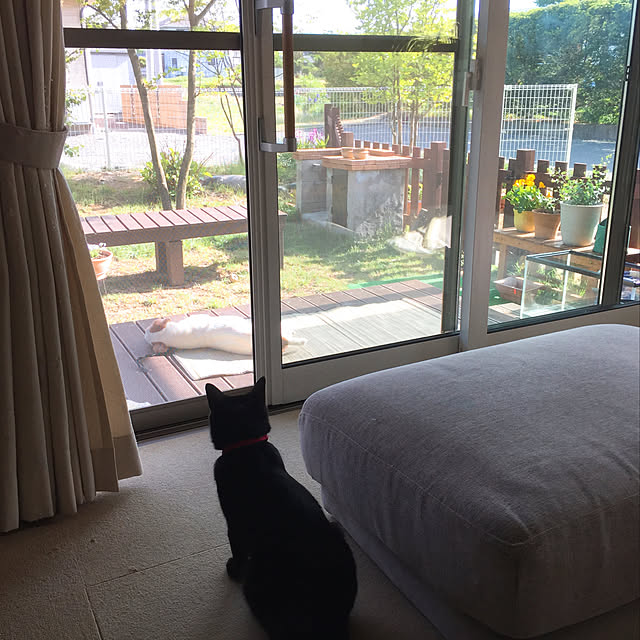 nanaさんの実例写真