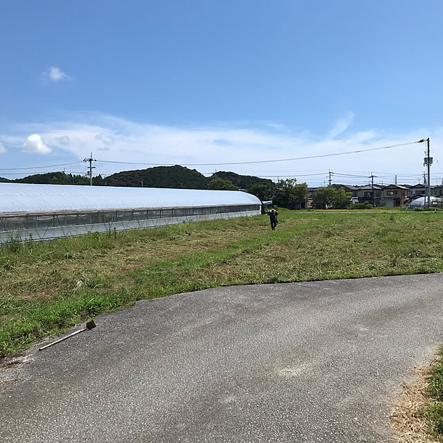 実例写真