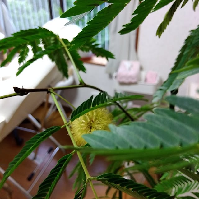 Motomeさんの部屋