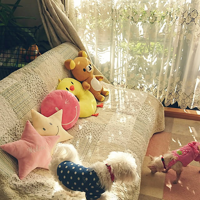 reecolonさんの実例写真