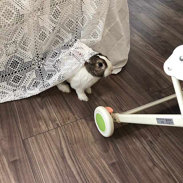 Hatsuneさんの部屋