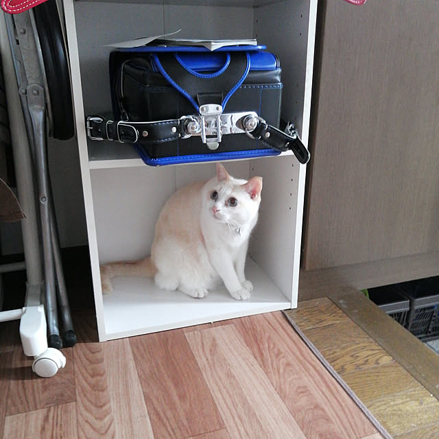 summerさんの実例写真