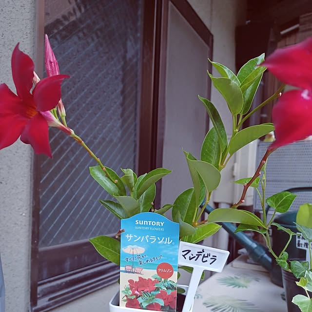 hiro-yさんの部屋
