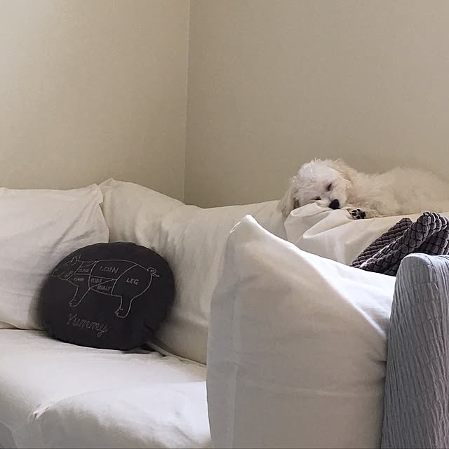 Mopmamaさんの実例写真