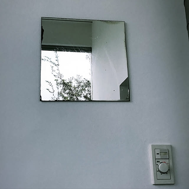 壁/天井のインテリア実例 - 2019-04-20 12:10:51