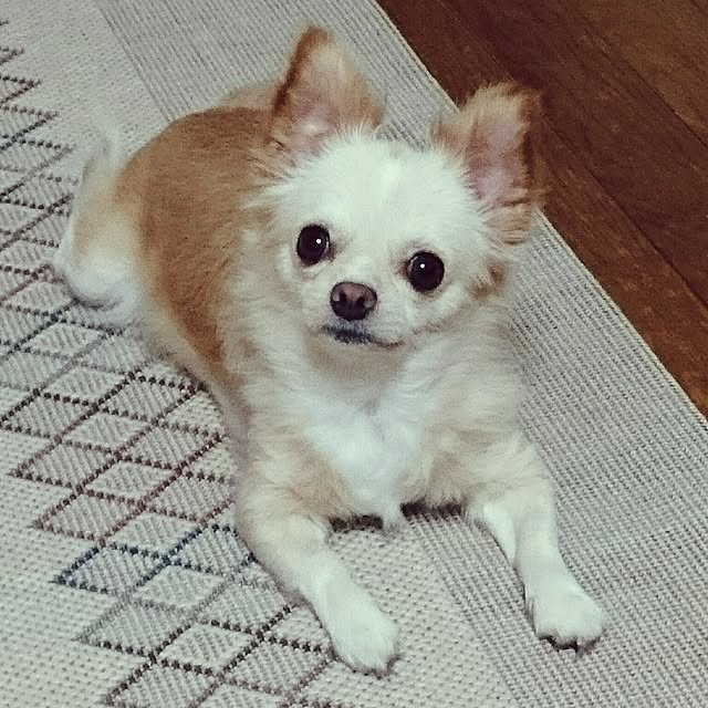 michiさんの実例写真