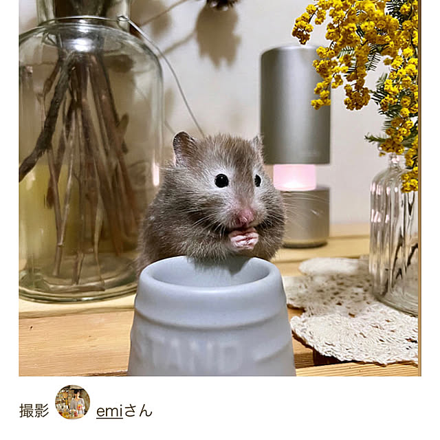 emiさんの部屋