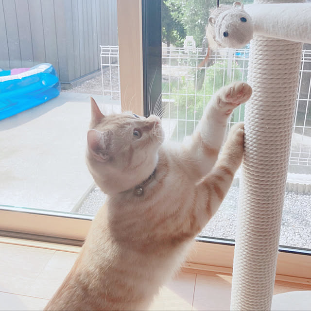 m.k.mさんの実例写真