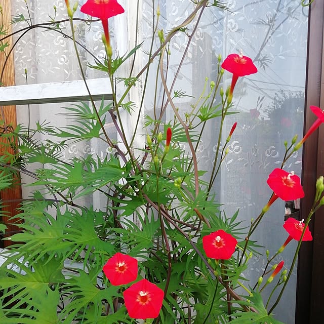 haruiroさんの部屋