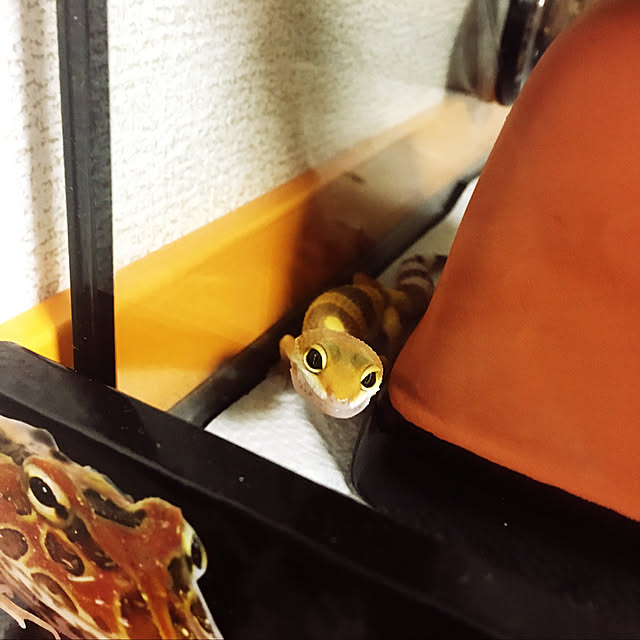 na-さんの実例写真
