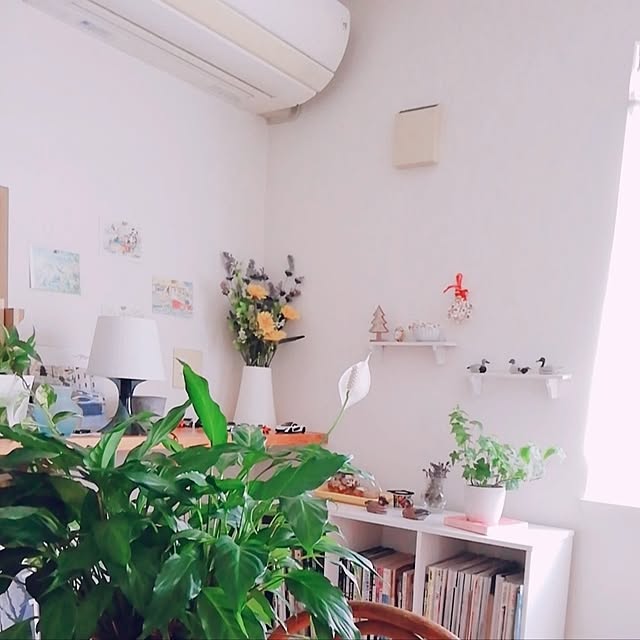 surviveさんの部屋