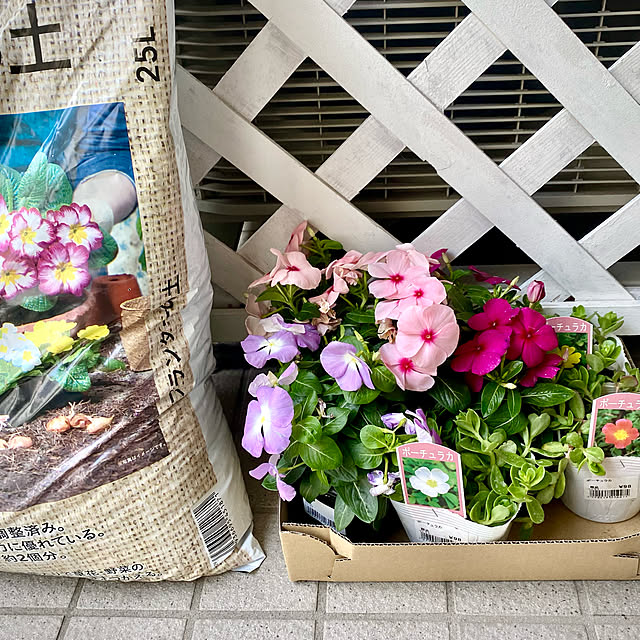 YuuKoさんの実例写真