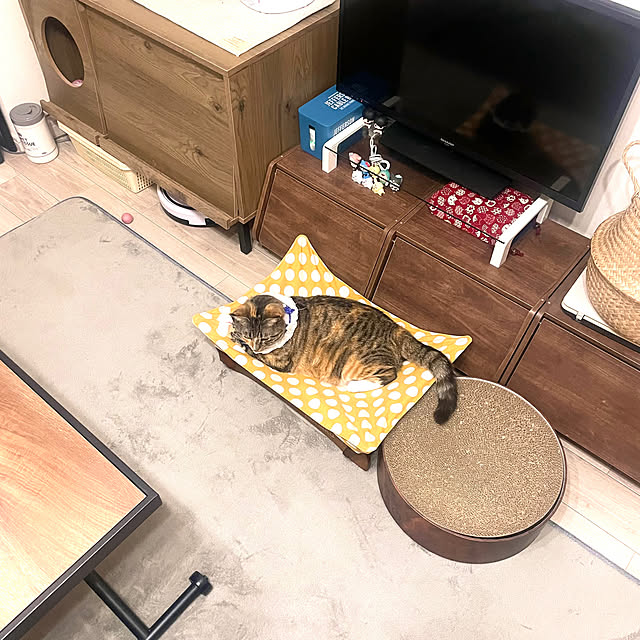 konuさんの実例写真