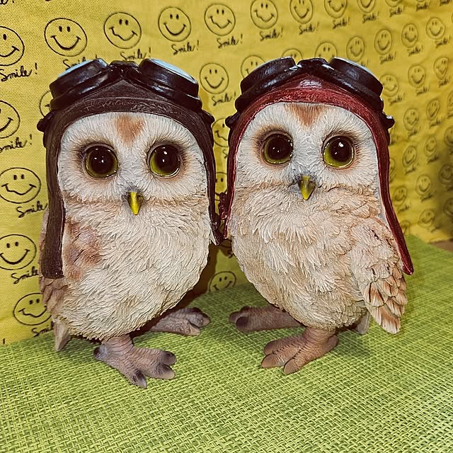 mocomocoさんの実例写真