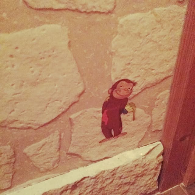 momoさんの実例写真