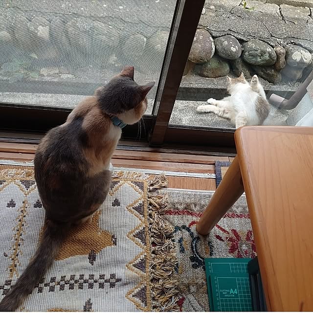 fukuさんの部屋