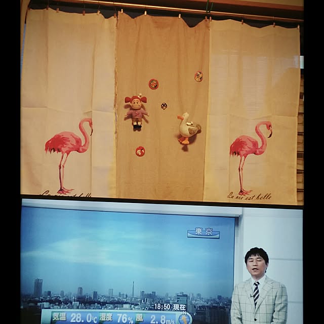 oyumiさんの実例写真