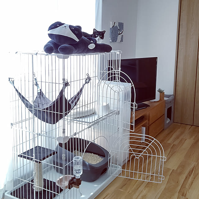 hihaさんの実例写真