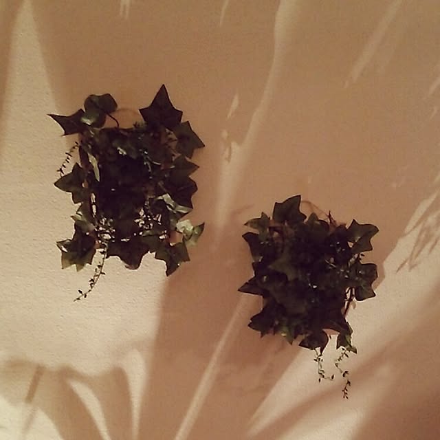 N.Yuyaさんの実例写真