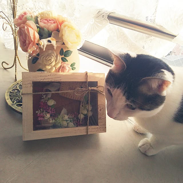 sakuraさんの実例写真