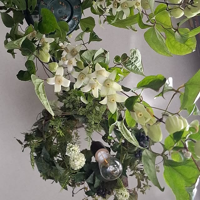 noaさんの実例写真