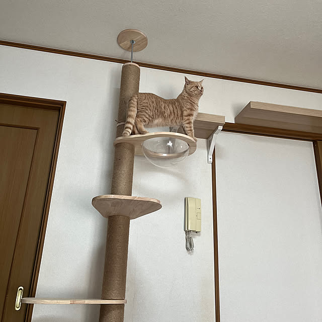 chachamaruさんの実例写真