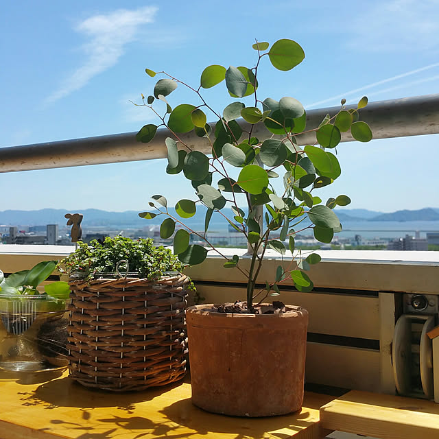 kuluchan.anchanさんの実例写真