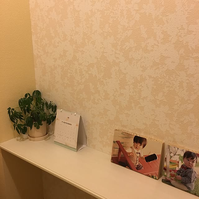 chittpiさんの実例写真