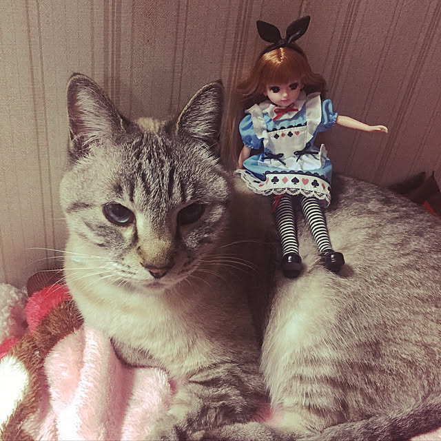 mieさんの実例写真