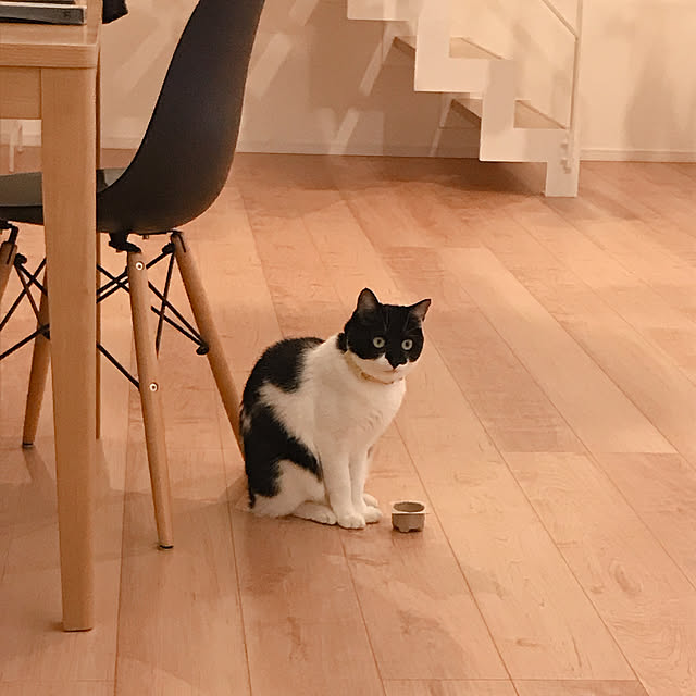 Yさんの実例写真