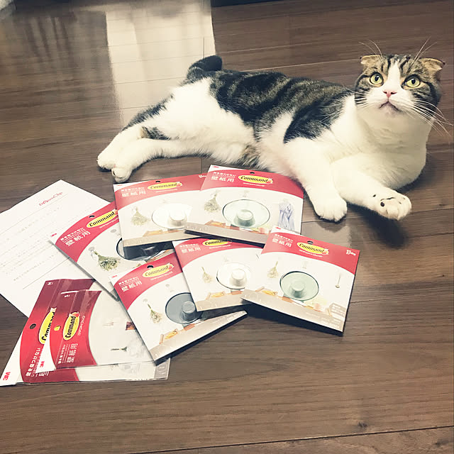 tansukeさんの実例写真