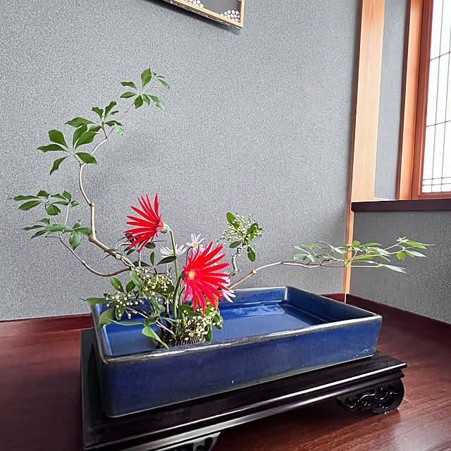 mamyuさんの部屋
