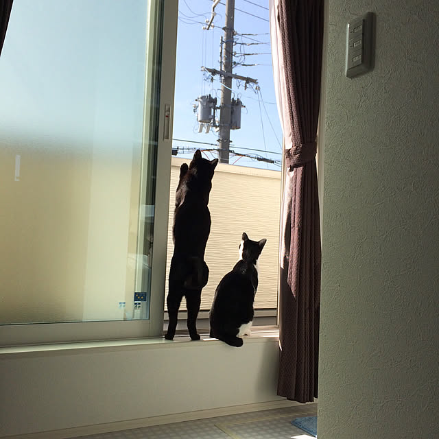 aruさんの実例写真