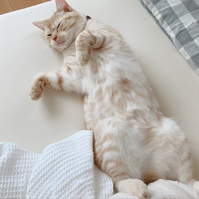 m.k.mさんの実例写真