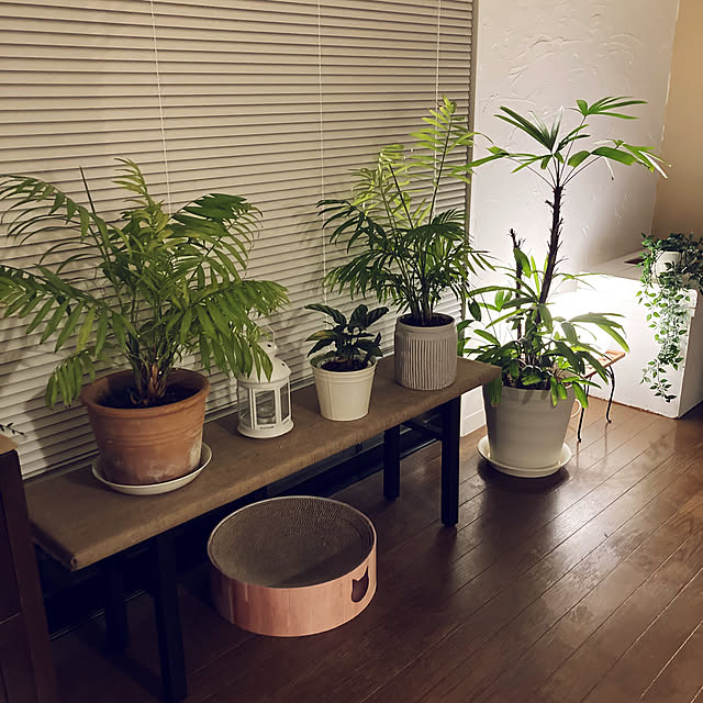 justyさんの部屋
