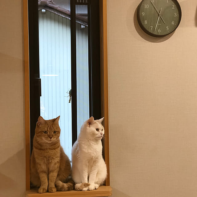 emishiraishiさんの部屋
