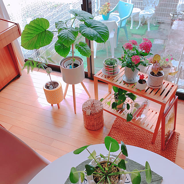 moonさんの部屋